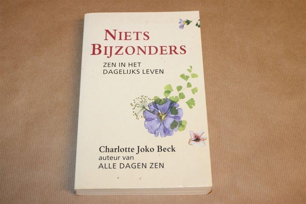 Niets Bijzonders — Zen-meditatie, Charlotte Joko Beck, Ophalen of Verzenden, Gelezen, Overige onderwerpen, Achtergrond en Informatie