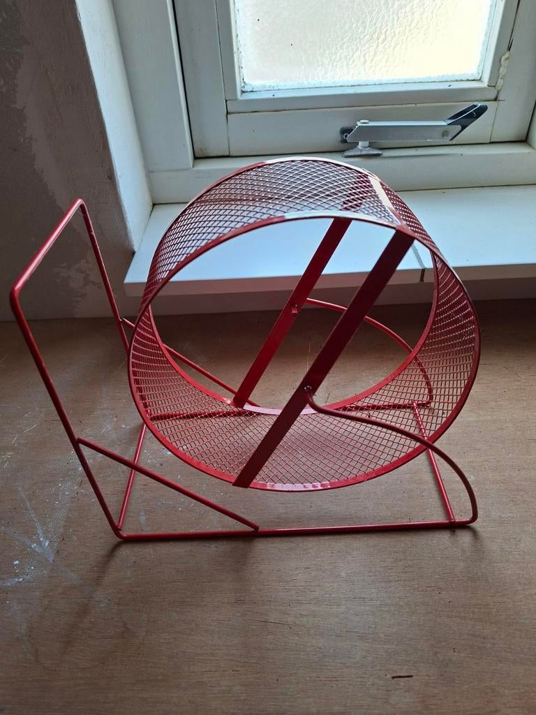 Toebeboren kleine knaagdieren, Dieren en Toebehoren, Ophalen