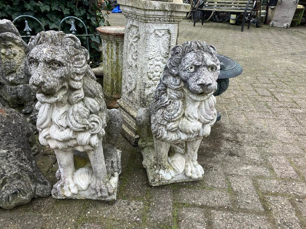 2 betonnen leeuwen, 60 cm hoog, Ophalen, Dierenbeeld, Gebruikt, Nvt