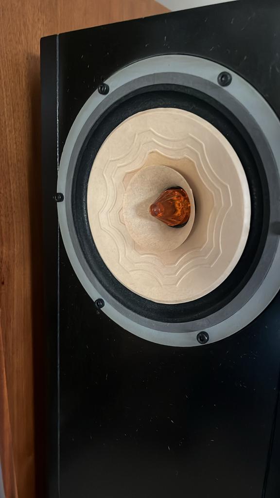 Back loaded hoorn speaker met Lii Silver S6 driver, Audio, Tv en Foto, Gebruikt, Minder dan 60 watt, Front, Rear of Stereo speakers