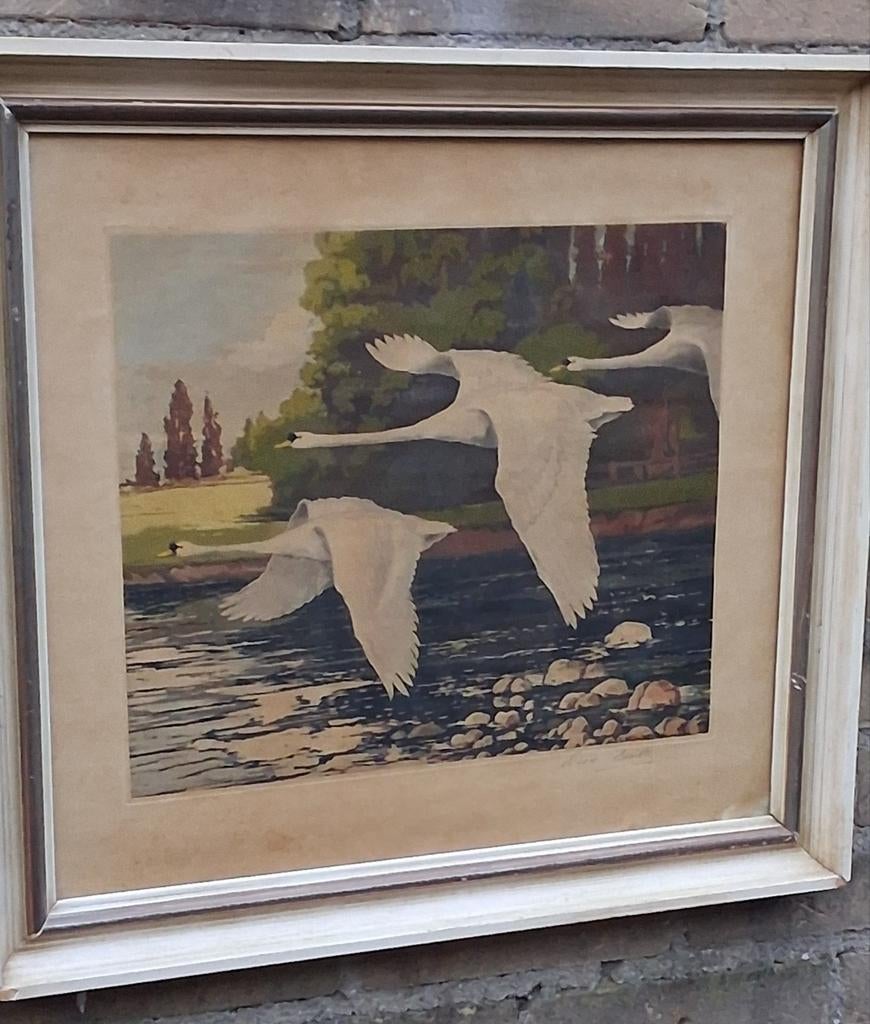 WARD BINKS (1880-1950).Flying swans. Gekl. ets.* Zie tekst., Ophalen, Origineel, Ets, Flora en Fauna