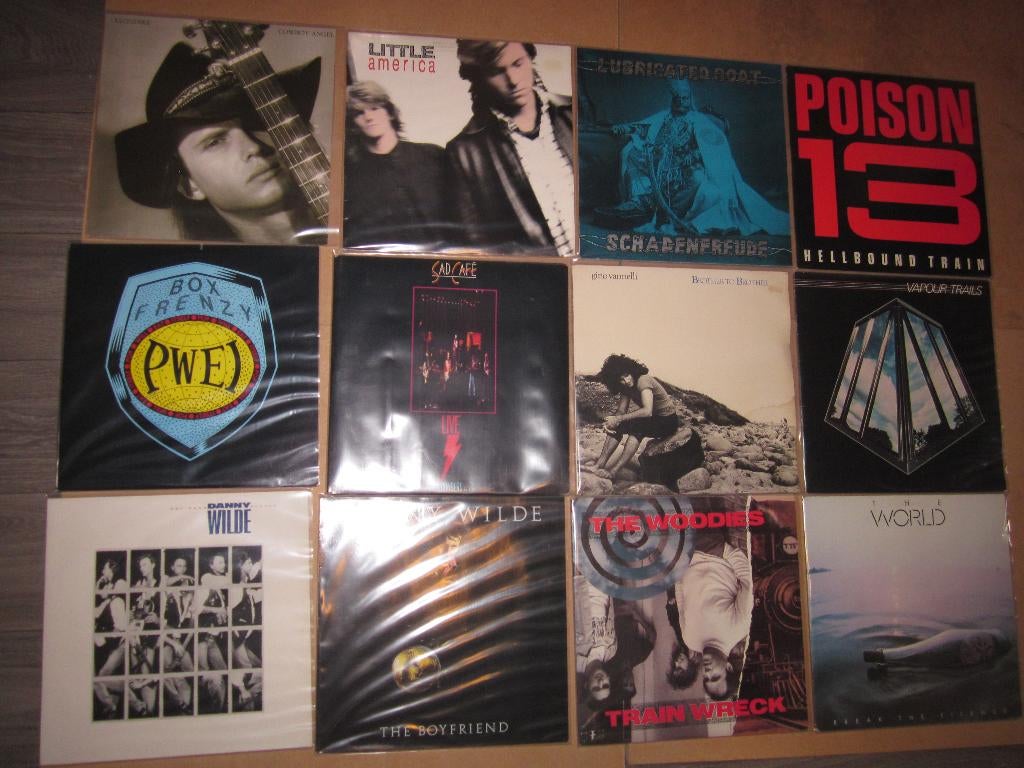 50 (Alternative) Rock LP's in een prima staat!, Ophalen of Verzenden, Gebruikt, 12 inch, Alternative