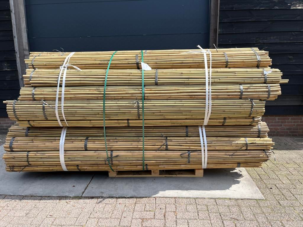 Bonenstokken bamboestok tonkin moes/groentetuin plantensteun, Ophalen of Verzenden, Nieuw, 250 cm of meer, Palen