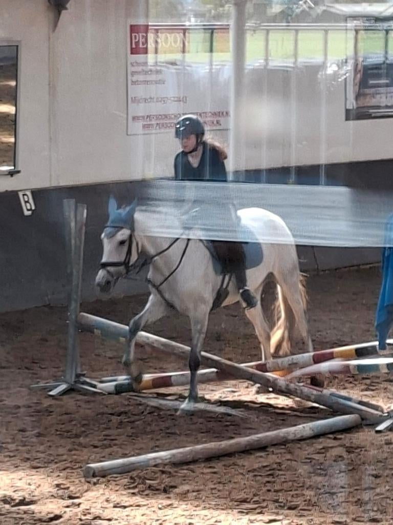 Bijrijdpaardje gezocht, Ophalen