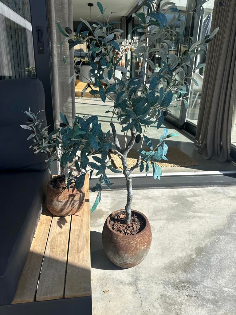 Kunst olijf boompjes/struikjes, Ophalen, Binnen, Kunstplant, Kunststof