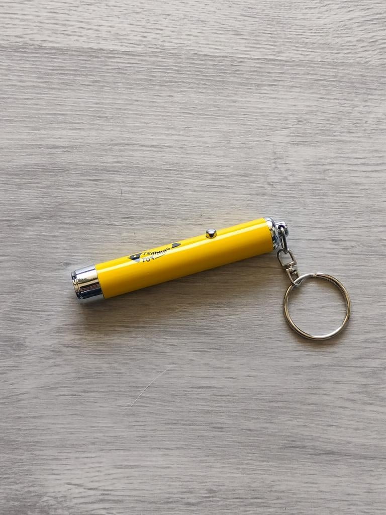 Laser pointer voor katten, Ophalen of Verzenden, Nieuw, Laserspeelgoed