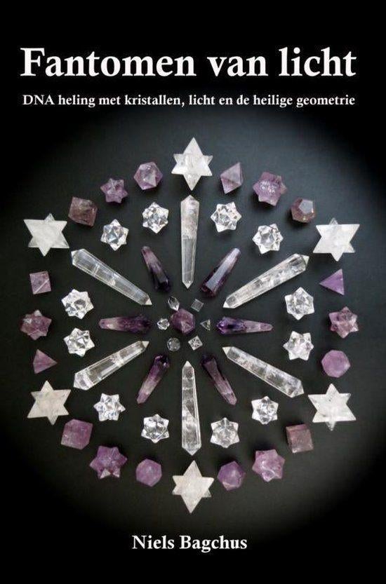 Fantomen van Licht - Niels Bagchus, Boeken, Verzenden, Gelezen, Overige onderwerpen, Overige typen