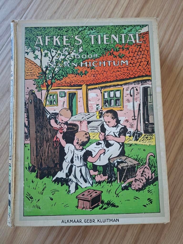 Afke's Tiental door N. van Hichtum, Ophalen of Verzenden, Gelezen, Fictie algemeen