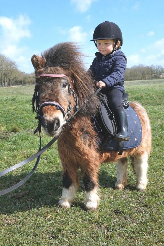 Super lieve bixie /kinder recreatie pony, Ophalen