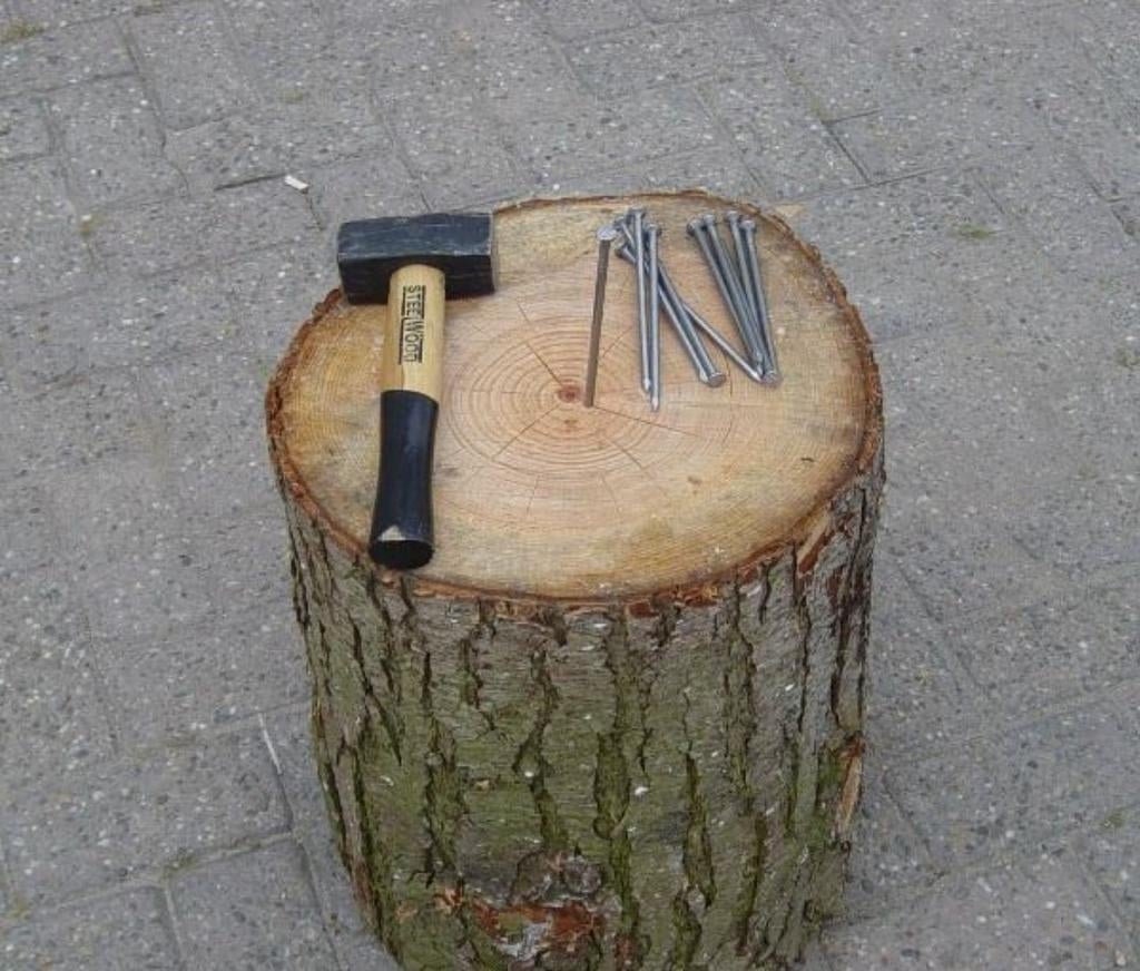 Spijkerbomstam gezocht!, Ophalen