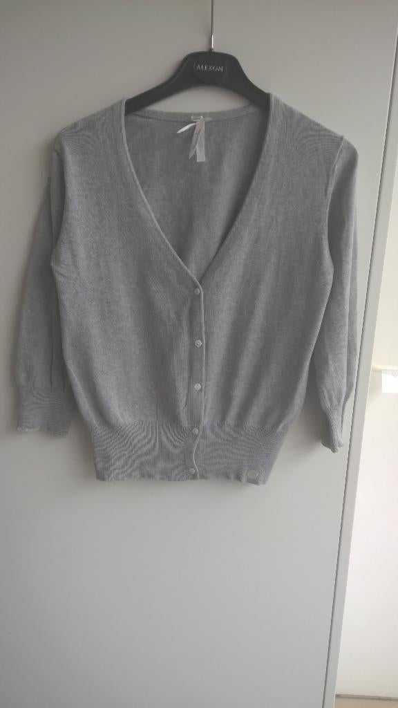 Hampton Bays : gilet met angora, Hampton bays, Ophalen of Verzenden, Zo goed als nieuw, Maat 36 (S)