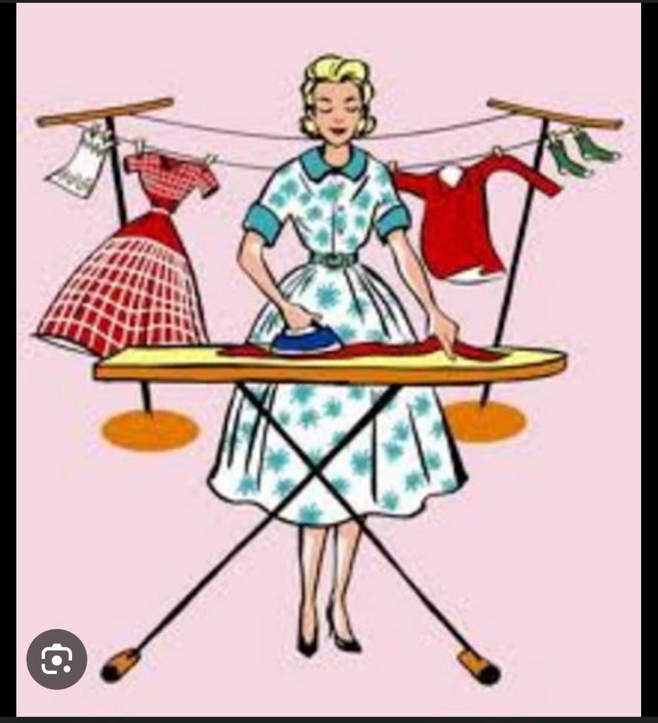 Schoonmaakster gezocht DEN DOLDER met spoed!!, Overige niveaus, Starter, Overige vormen