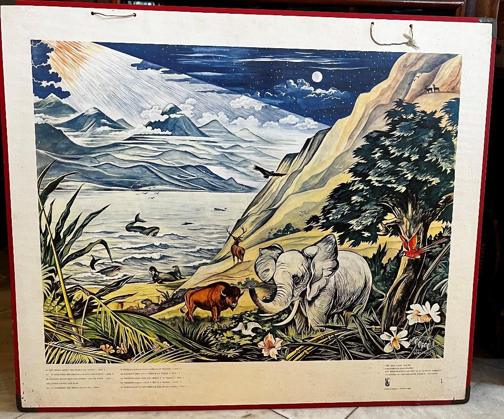 Oude schoolplaat nr. 1: De schepping, dieren, olifant, Ophalen, Overige thema's