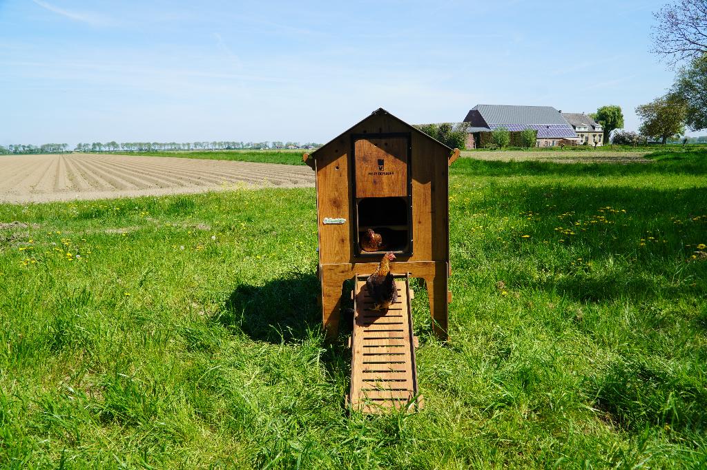 Trespa Kippenhok Cucciolotta Classic L | Op Pootjes