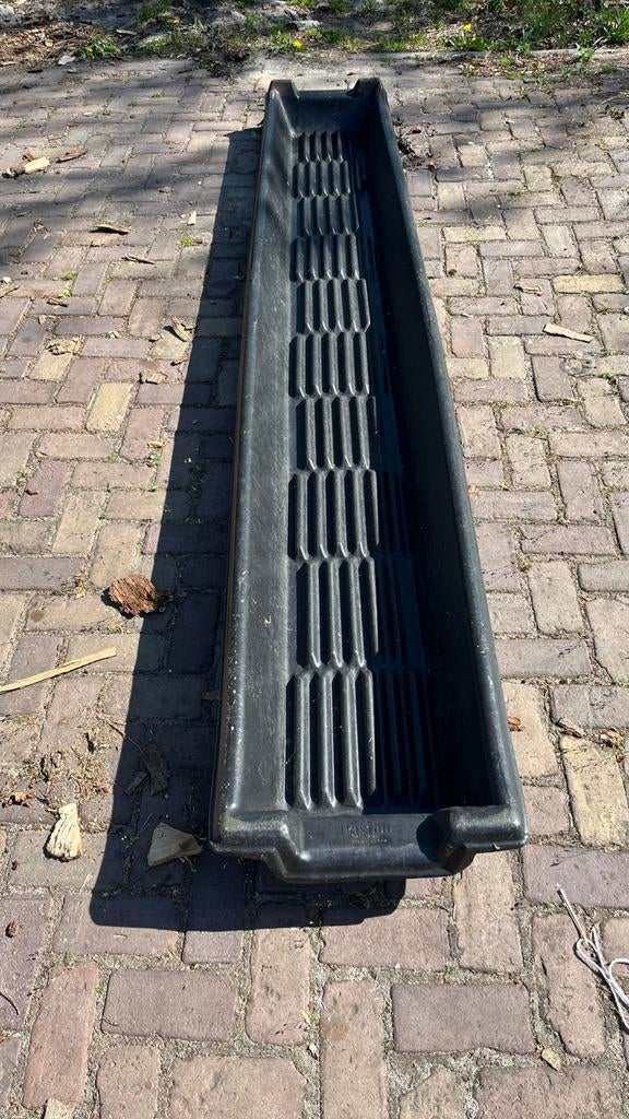 Ontsmettingsbak voor schapen rotkreupel stinkpoot, Meerdere dieren, Schaap