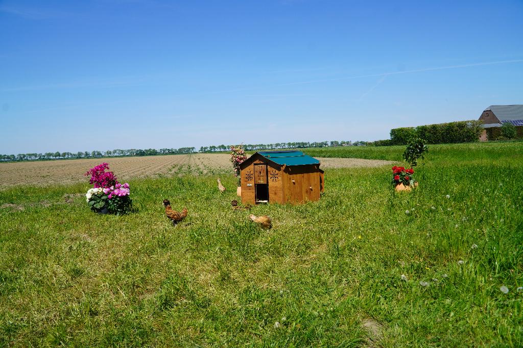 Trespa Kippenhok Cucciolotta | Chalet L