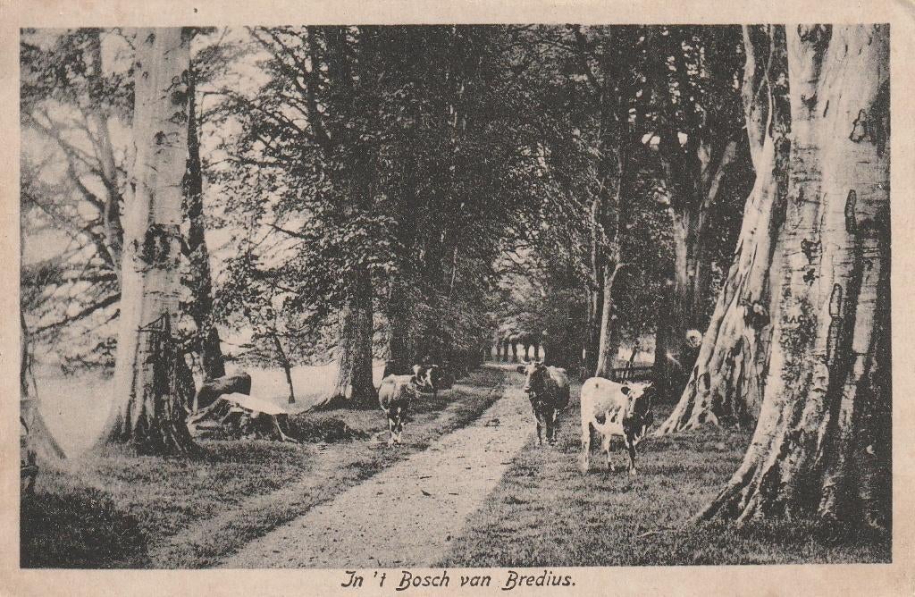 Laren Nh, Ophalen of Verzenden, 1920 tot 1940, Gelopen, Noord-Holland