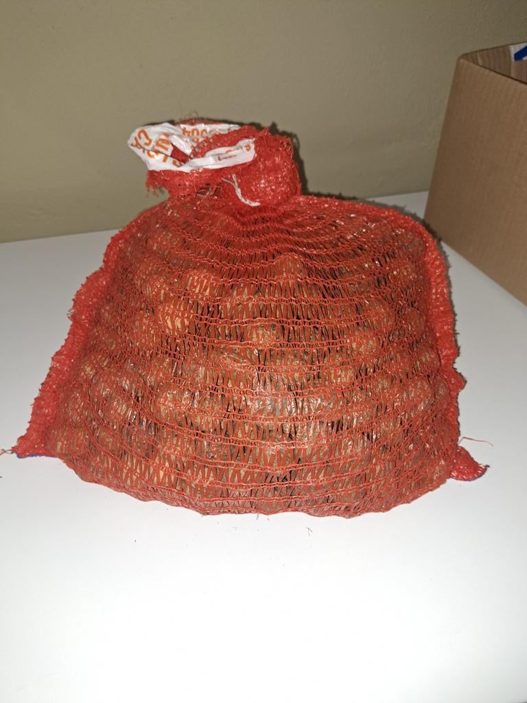 Walnoten € 4,- per kilo., Ophalen of Verzenden, Nieuw