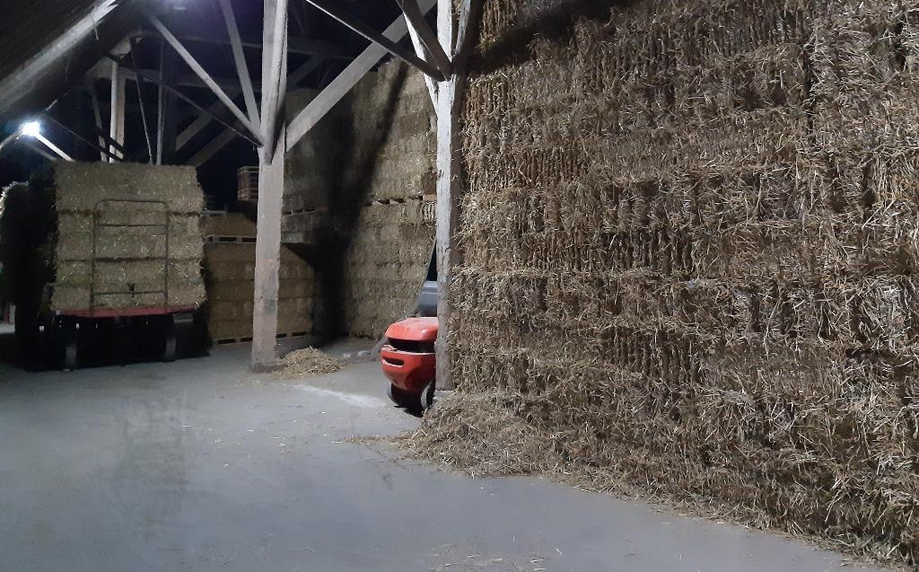 Tarwe stro in kleine pakken van hoge kwaliteit., Dieren en Toebehoren, Ophalen, Vee