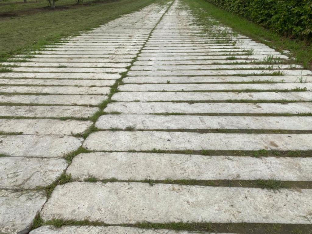 Betonnen spoorbielzen - voor opsluiting of fundering, Ophalen, Gebruikt, Runstraat 81, Schaijk, 200 cm of meer