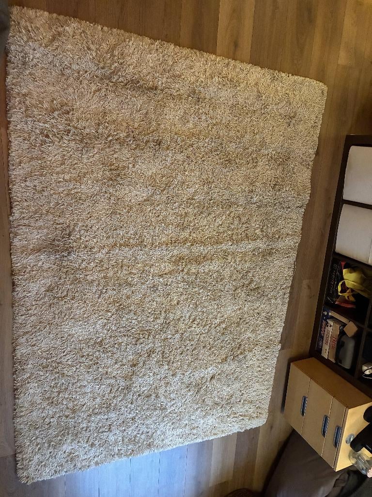 Warm beige carpet, Huis en Inrichting, Stoffering | Tapijten en Kleden, Gebruikt, Beige, 150 tot 200 cm, 200 cm of meer