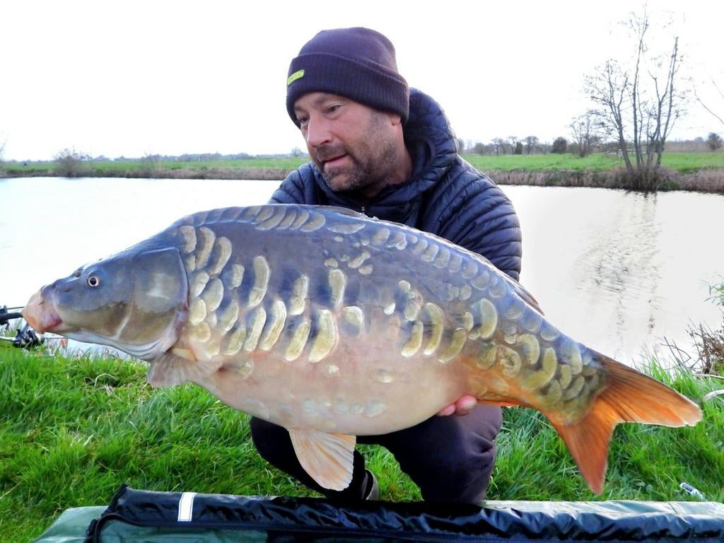 Karperen in het groene hart in Bergambacht (huisje water), Watersport en Boten, Hengelsport | Karpervissen, Nieuw, Overige typen