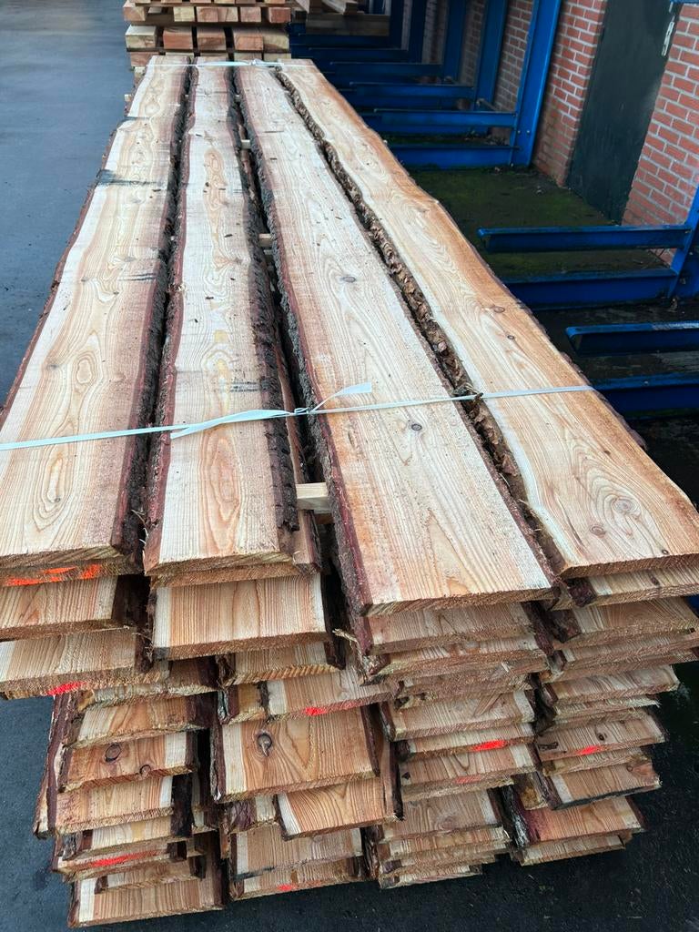 Schaaldelen 22mm Lariks / Douglas 15/20cm breed, Ophalen, Nieuw, 250 cm of meer, Planken