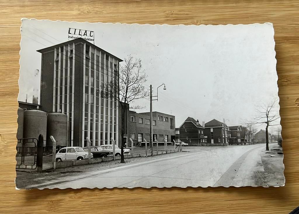 Zonhoven Zuivelfabriek lilac, Ophalen of Verzenden, 1960 tot 1980, Ongelopen, Limburg