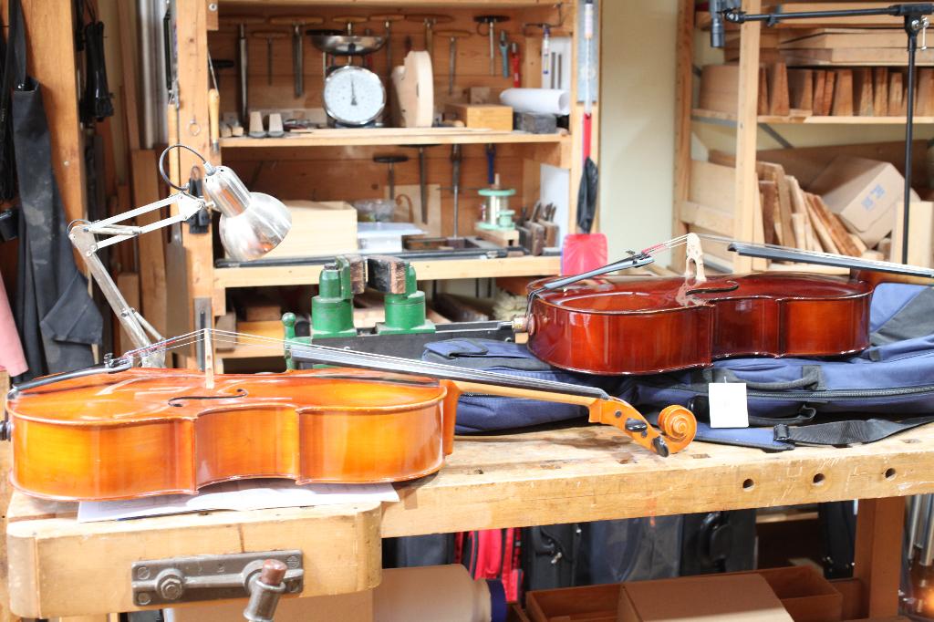 studie celli uitverkoop in één koop € 1000,- ex BTW, Ophalen, Gebruikt, Overige formaten, Met koffer