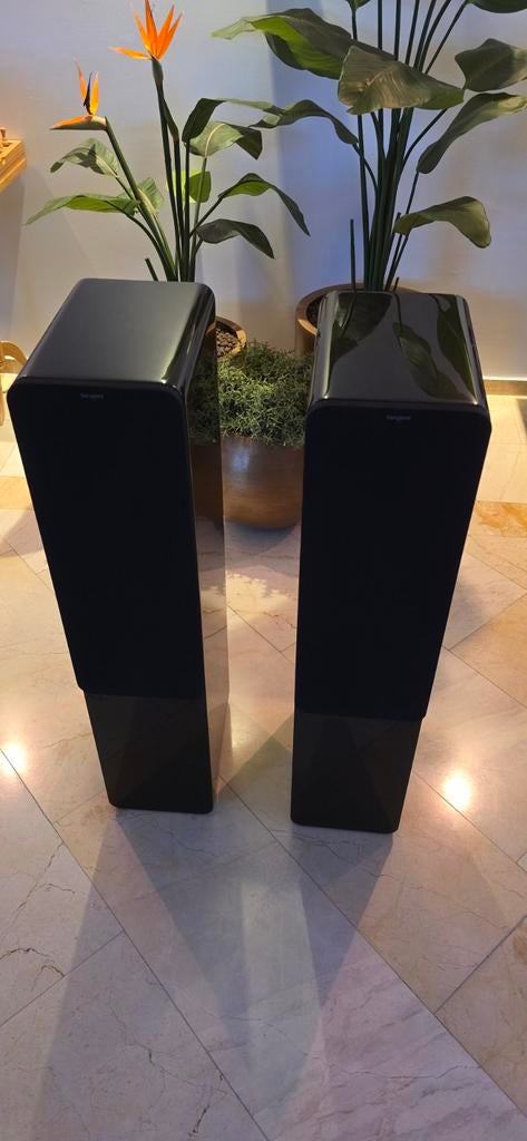 Speakers Tangent Clarity 8 te koop, Ophalen, Front, Rear of Stereo speakers, Overige merken