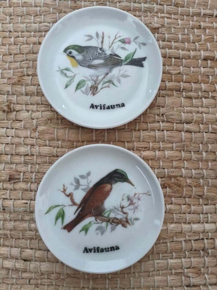 Royal Schwabab porseleinen vogel bordjes ( Avifauna ), Ophalen of Verzenden, Gebruikt, Porselein, Bord of Schaal