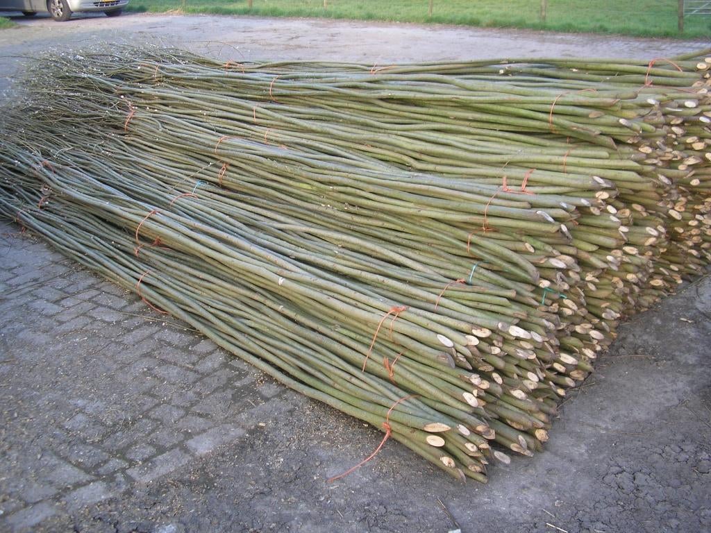 verse wilgentenen Bleeslatten vlechthout schutting, Info@wilgentenenschutting.nl, Zandschulperweg 10, Minder dan 3 meter, Nieuw