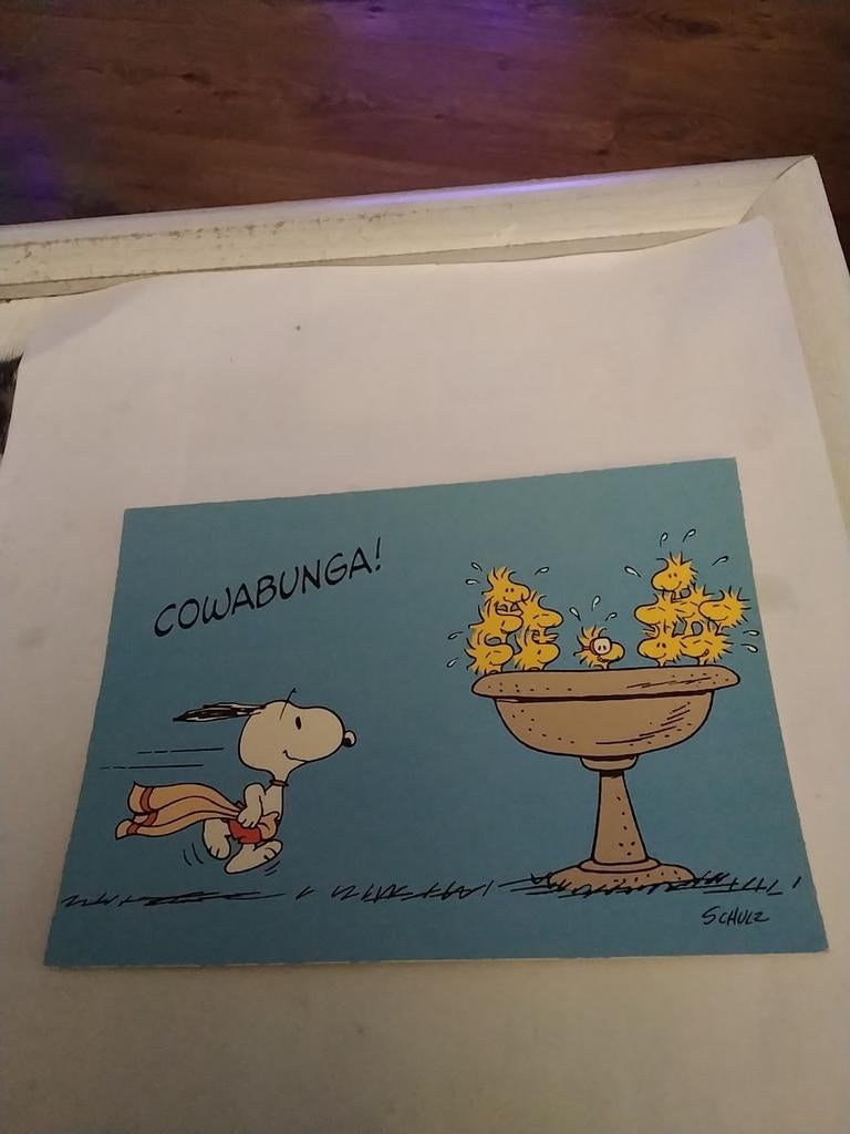 SCHULZ. /  SNOOPY AND WOODSTOCK, Verzamelen, Ophalen of Verzenden, 1940 tot 1960, Sterren en Beroemdheden