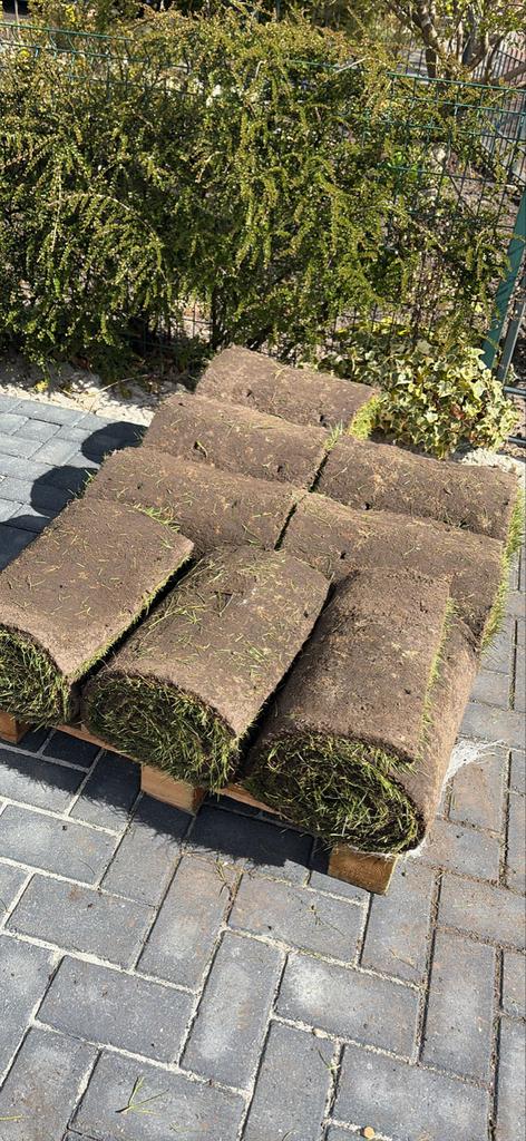 Verse Graszoden - 8 à 9 m², Tuin en Terras, Gras en Kunstgras, Ophalen, Nieuw, Minder dan 10 m², Gras