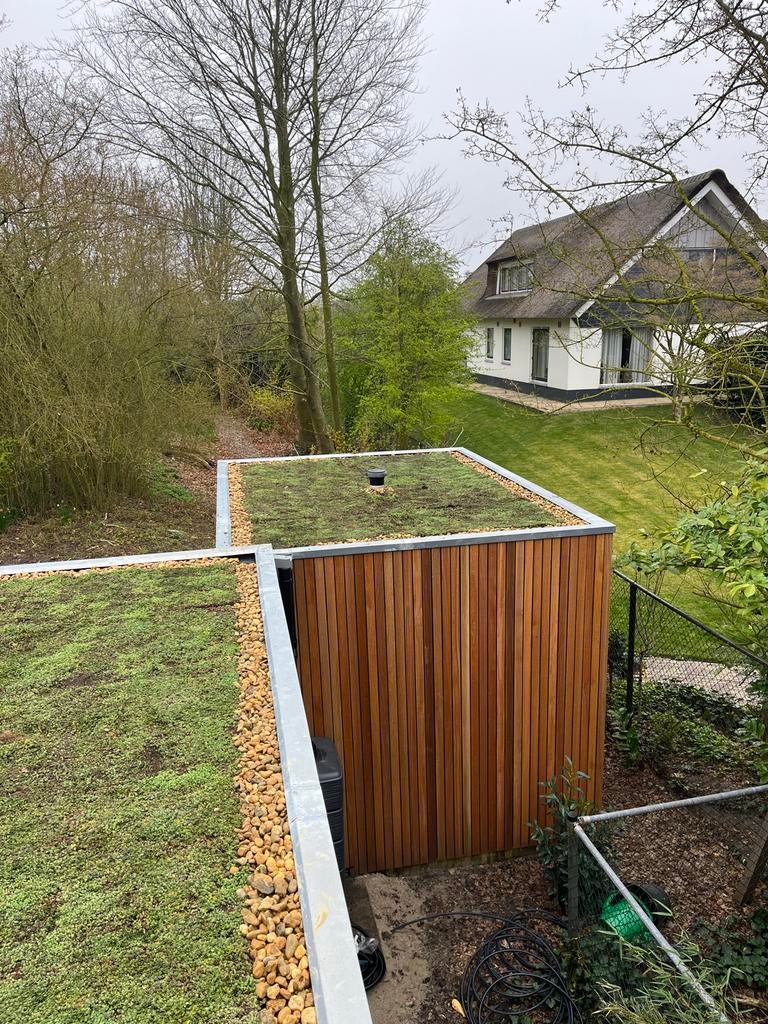 Sedum matten en trays voor groendaken, Ophalen of Verzenden, Nieuw, Gras