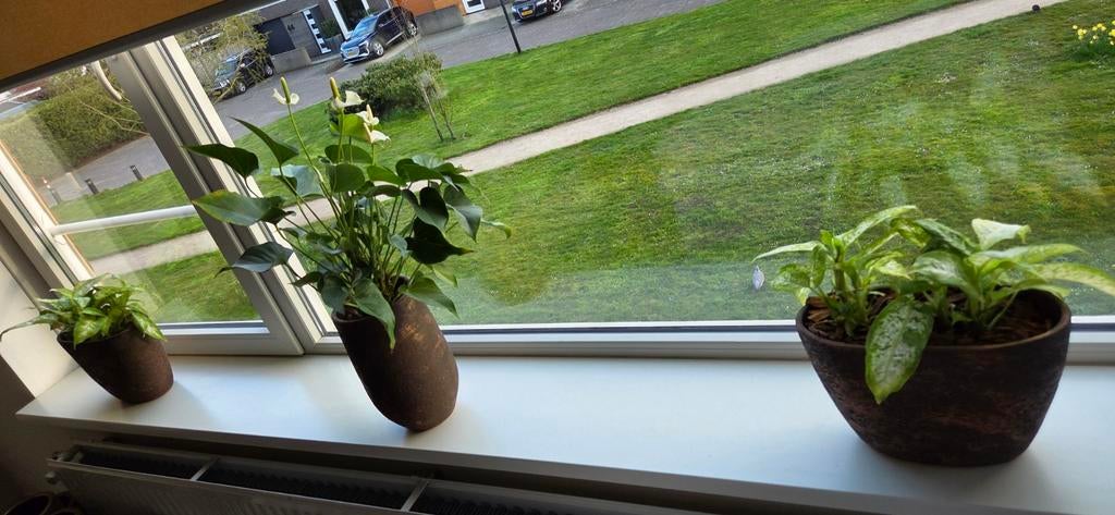 Bloempotten Koper Bruin binnen 3 stuks, Tuin en Terras, Ophalen, Binnen, Overige vormen, Aardewerk