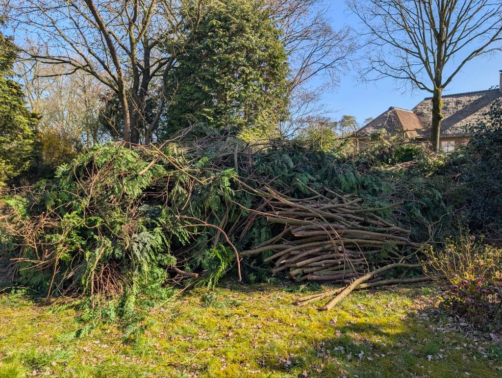 Snoeiafval voor paasvuur, Ophalen