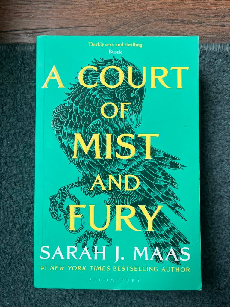 A Court of Mist and Fury - Sarah J. Maas (Goede staat), Boeken, Ophalen, Zo goed als nieuw