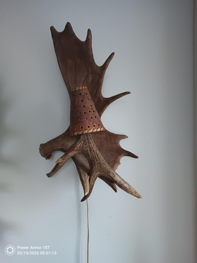 Unieke wandlamp van echt Eland gewei, Ophalen of Verzenden, Gebruikt, Overige materialen, Rustiek, Natuurlijk, Jacht