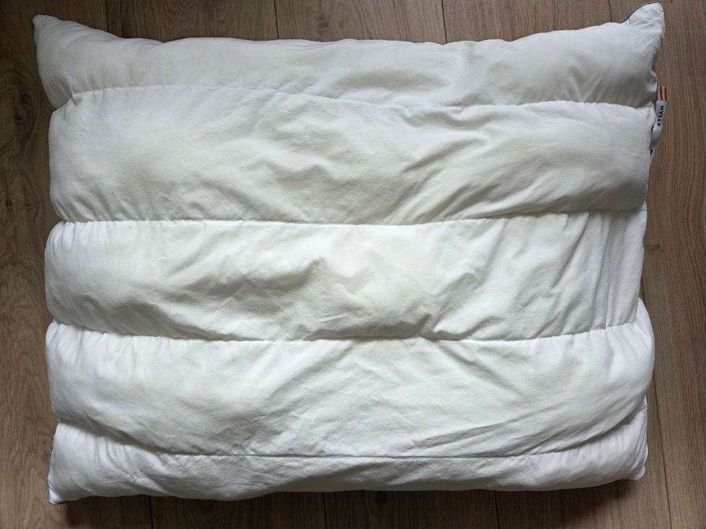 Gratis Ikea Hylle kussen, Huis en Inrichting, Woonaccessoires | Kussens, Ophalen of Verzenden, Gebruikt, Wit, Vierkant