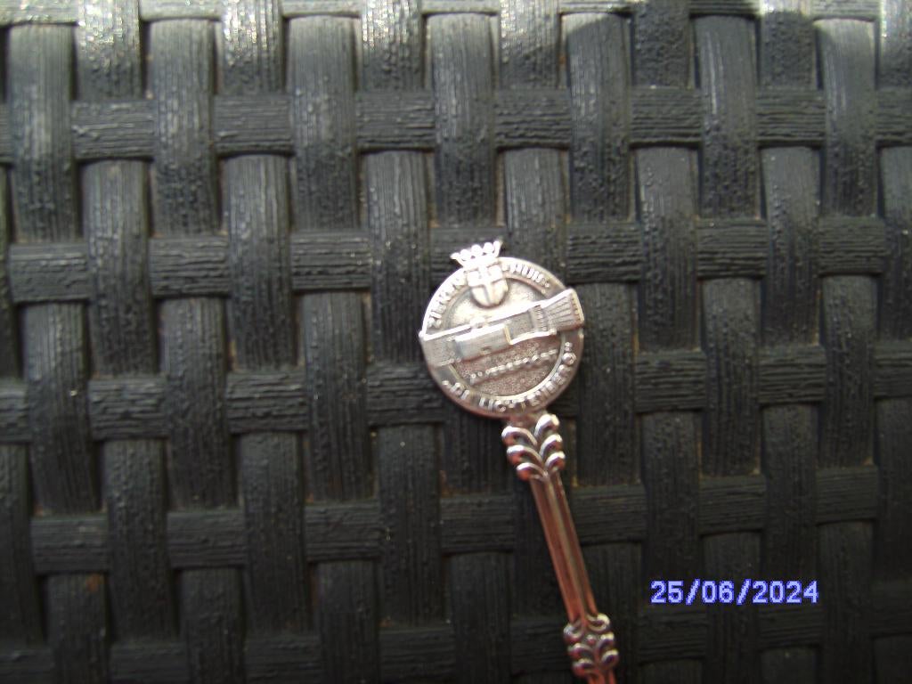 Amersfoort Lepeltje Ziekenhuis De Lichtenberg afb wapen gebo, Ophalen of Verzenden, Zo goed als nieuw