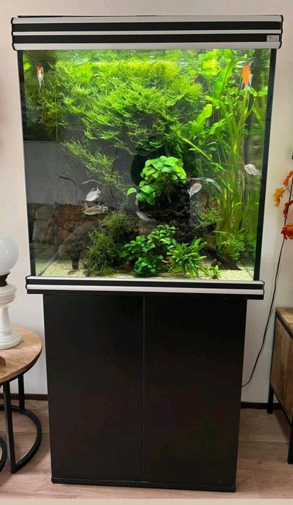 Aquarium, Dieren en Toebehoren, Vissen | Aquaria en Toebehoren, Ophalen of Verzenden, Leeg aquarium