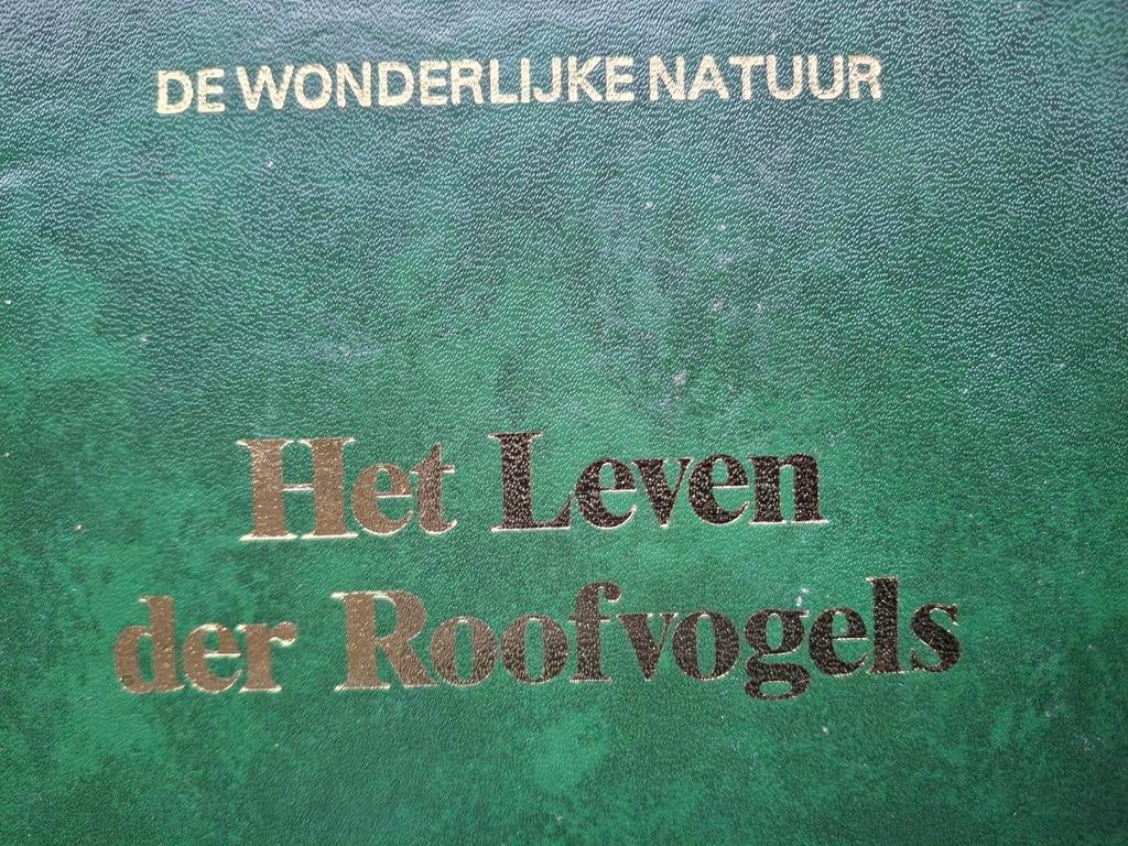 Visarend roofvogels jacht vogeltrek steenarend valk havik, Ophalen of Verzenden, Zo goed als nieuw, Overige diersoorten