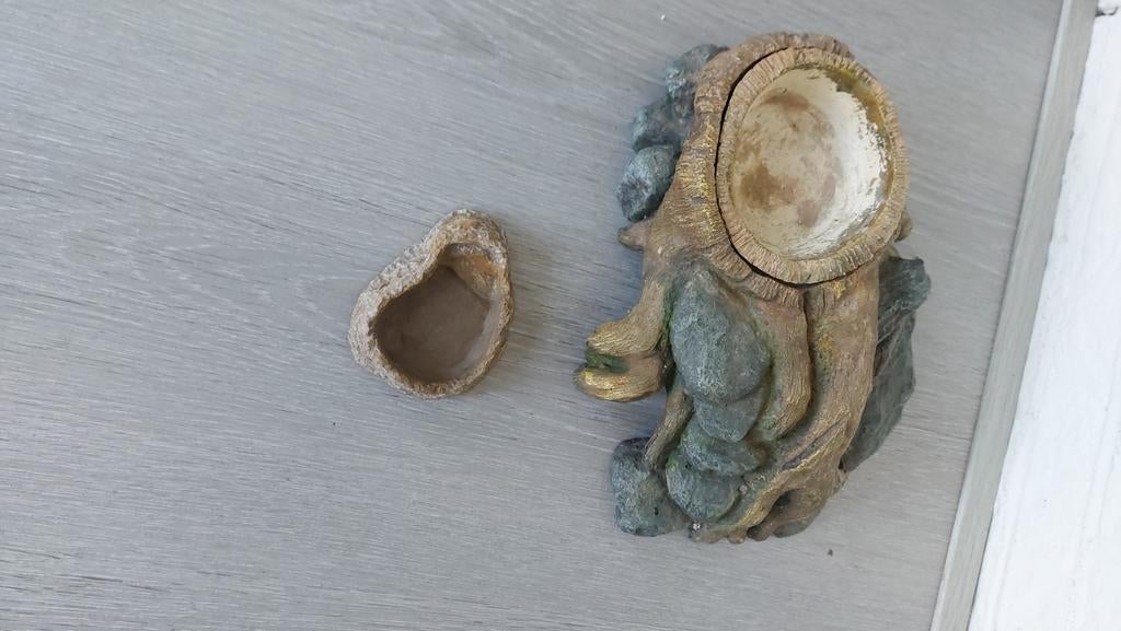 terarium waterbak, Dieren en Toebehoren, Ophalen of Verzenden