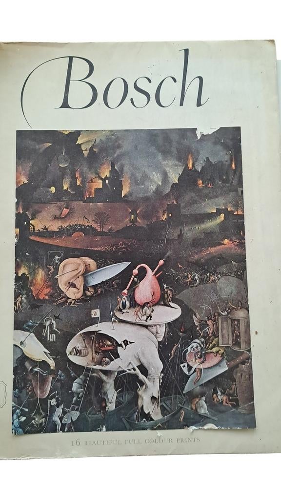 Hieronymus Bosch- Kunstboek (16 full colour prints), Ophalen of Verzenden, Gelezen