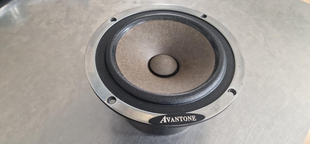 Avantone Full Frequency Range Driver, Audio, Tv en Foto, Luidsprekers, Ophalen of Verzenden, 120 watt of meer, Front, Rear of Stereo speakers