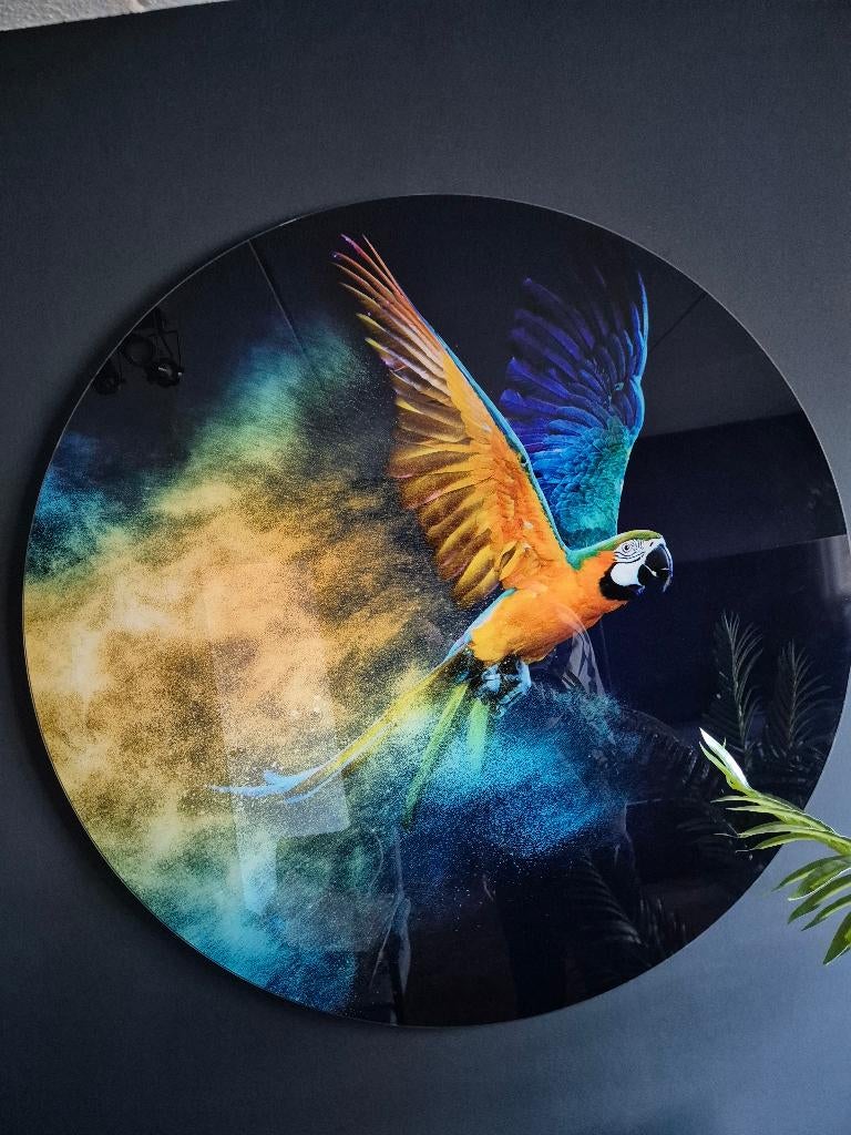 Schilderij op glas (wanddecoratie Ara), Ophalen, Zo goed als nieuw, Schilderij, 75 cm of meer