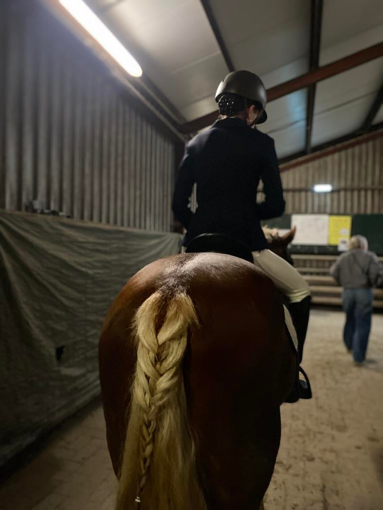 Verzorgpony gezocht!, Ophalen of Verzenden