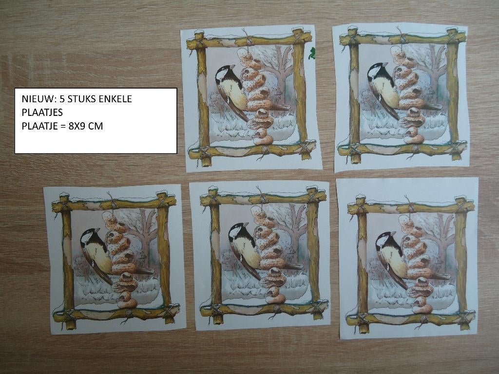 gratis bij bestelling: 5 plaatjes vogel ( alleen verzenden, Ophalen, Nieuw, Dieren, Knipvel