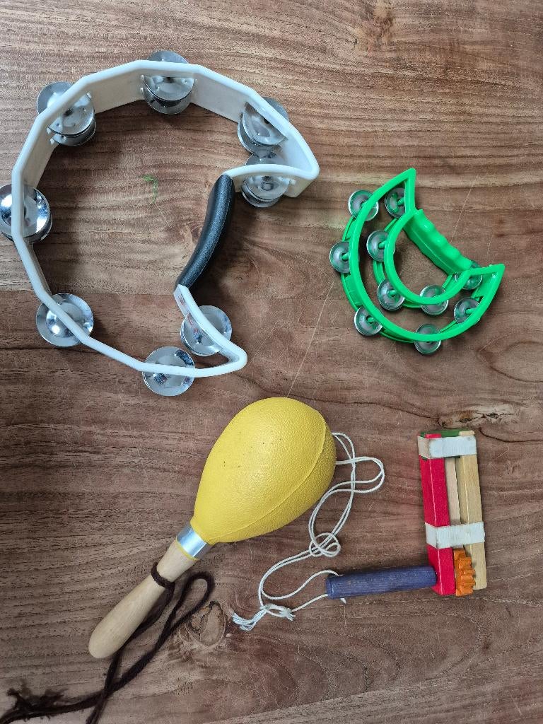 CARNAVALsinstrumenten - instrumenten  tamboerijn, sambabal, Maat 38/40 (M), Carnaval, Ophalen of Verzenden, Accessoires